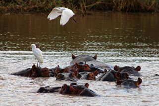 iSimangaliso Wetland Park